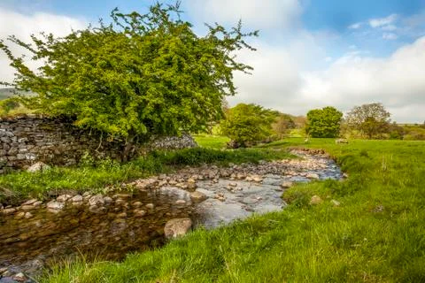 Rocky stream Stock Photos