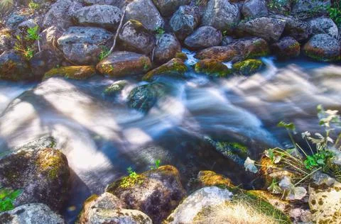 Rocky stream Stock Photos