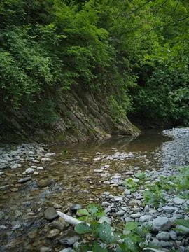 Rocky stream Stock Photos