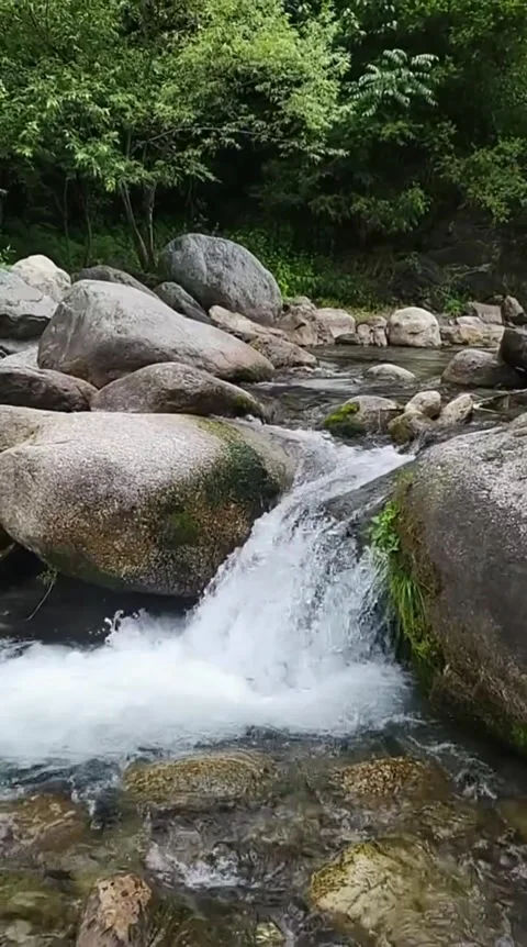 Rocky Stream Rapid Flow 库存影片 341629136