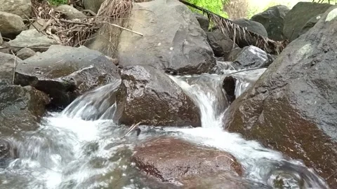 Rocky Stream with Rapid Water Flow | Shallow River Current in Nature Stock Footage 330546320