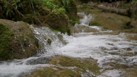 Rocky stream with rapids closeup slow motion Vidéo 345681978