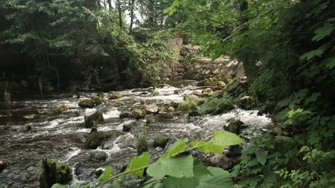 Rocky stream on the ruins of the mill Stock Footage 164145714
