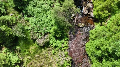 Rocky Stream Through Forest near Lough Muskry Stockbeeldmateriaal 333927828