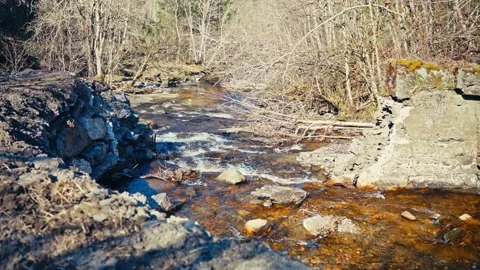 Rocky Stream Through Leafless Dry Forest Stock Footage 346792544