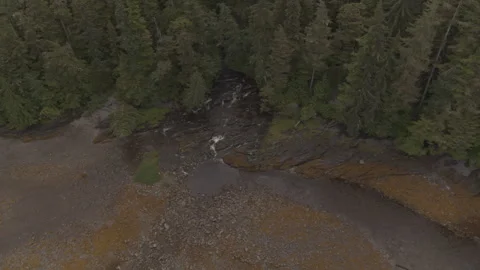 Rocky Stream at Water Edge with Pine Trees Behind People on Rock Aerial Drone Stock Footage 255144711