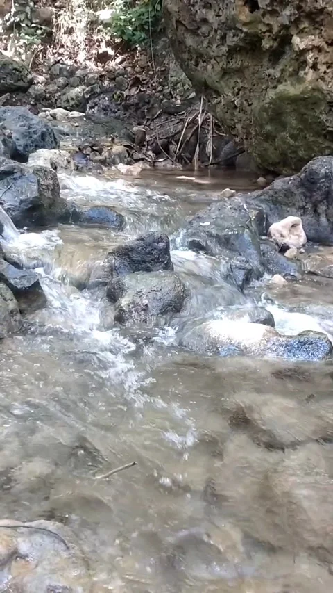 Rocky Stream in the Woods Stock Footage 331106966