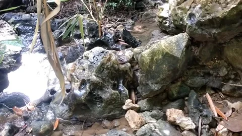 Rocky Stream in the Woods Stock Footage 331265755