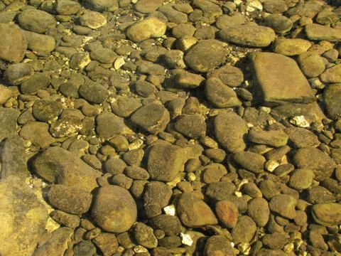 Rocky streambed Foto stock
