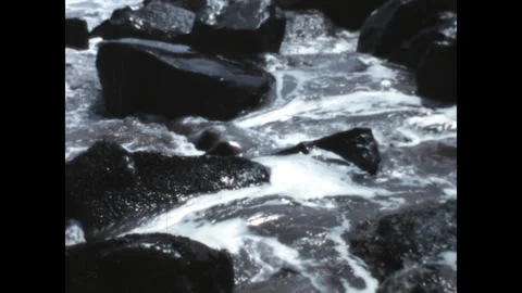 Rocky Surf 1967 Stock Footage 269479013