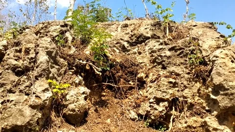 Rocky Terrain and Sparse Vegetation Stock-Footage 341797276