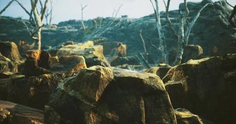 Rocky terrain with dry trees under a clear sky in a desolate landscape Stock Illustration
