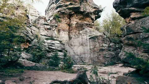 Rocky terrain in the forest Stock Footage 141071900