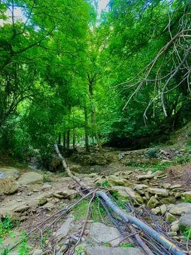 The rocky terrain Stock Photos
