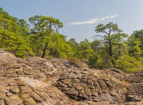 Rocky terrain with pine trees under blue sky Stock Photos