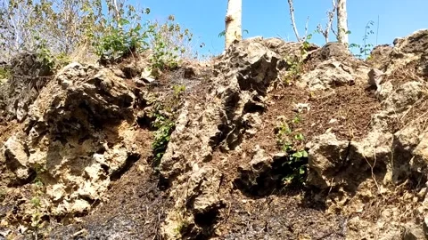 Rocky Terrain with Scattered Vegetation Stock-Footage 341797044