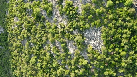 Rocky terrain with sparse green vegetation consisting of bushes Stock Footage 132618399