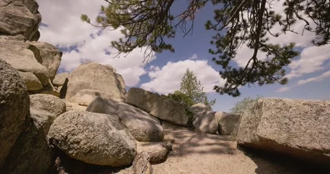 Rocky Terrain Under Pine Trees in Desert Landscape Stock Footage 323362658