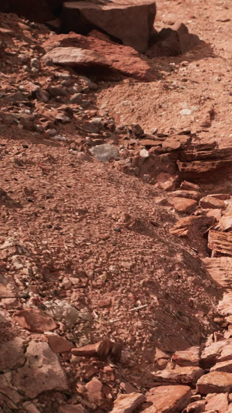 Rocky terrain with various stone shapes on a dry surface Stock Footage 346675260