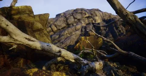 Rocky terrain with weathered branches under clear blue sky 스톡 일러스트