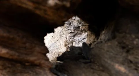 Rocky texture can be seen through a hole in the rock. Stock Photos