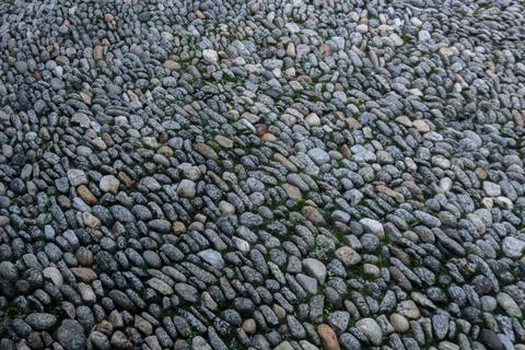 Rocky texture with different patterns and elements in high quality Stock Photos