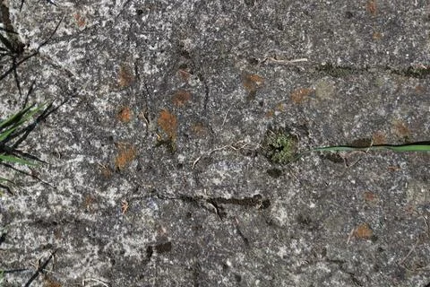 Rocky texture with different patterns and elements in high quality 写真素材