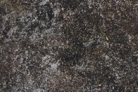 Rocky texture with different patterns and elements in high quality Stock Photos