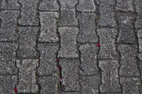 Rocky texture with different patterns and elements in high quality 写真素材