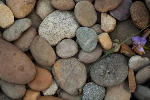 Rocky texture with different patterns and elements in high quality 写真素材