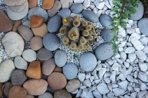 Rocky texture with different patterns and elements in high quality Stockfoto's