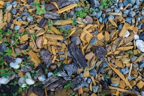 Rocky texture with different patterns and elements in high quality Foto stock