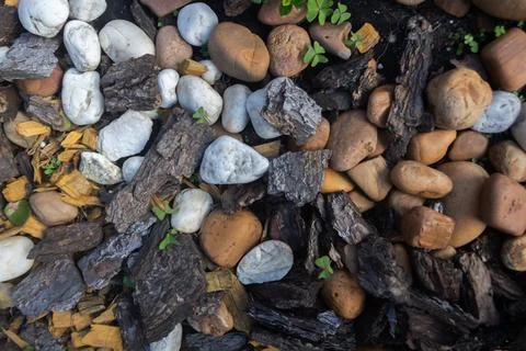 Rocky texture with different patterns and elements in high quality Stock Photos