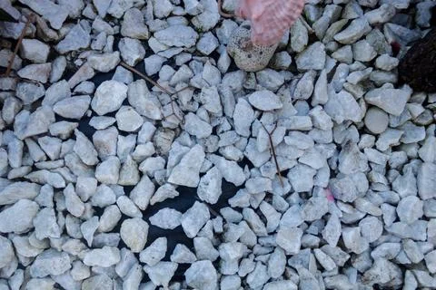 Rocky texture with different patterns and elements in high quality 스톡 사진