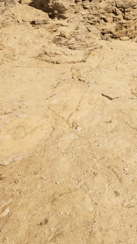 Rocky texture of dry land under bright sunlight in outdoor location Stock Footage 334180598