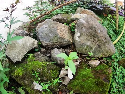 Rocky texture Stock Photos