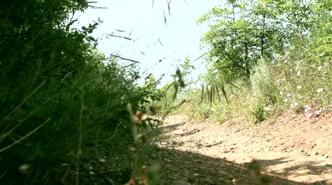 Rocky trail 스톡 동영상 51364596