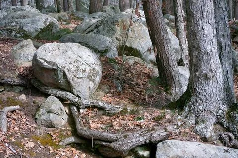 Rocky trail Stock Photos