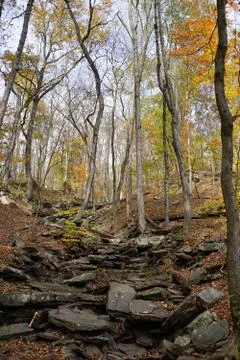 Rocky trail through deciduous forest with colorful foliage and huge dark rock Stock Photos