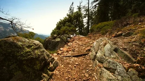 Rocky trail through a remote forest. Video stock 88404731
