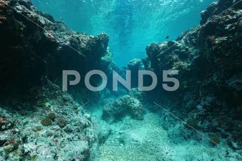 Rocky underwater seascape ocean floor Pacific Stock Photos