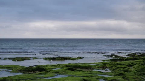 Rocky view from beach to sea Seq F Pt2 of 9 Stock Footage 240709408