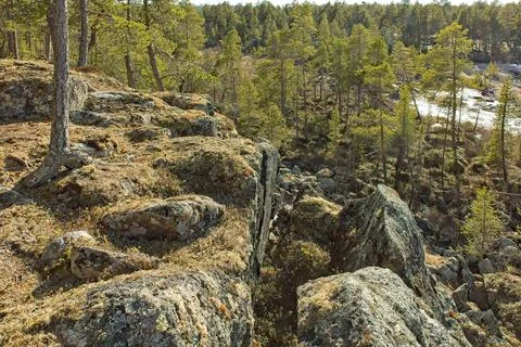 Rocky view. Stock Photos
