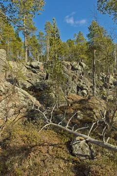Rocky view. Stock Photos