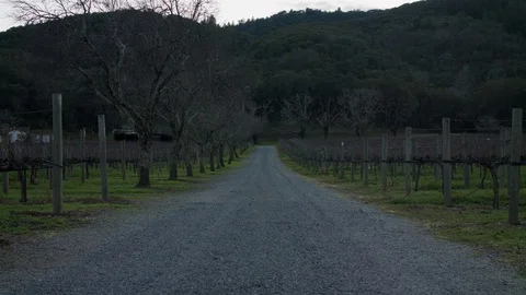 Rocky Vineyard Road 스톡 동영상 85442860