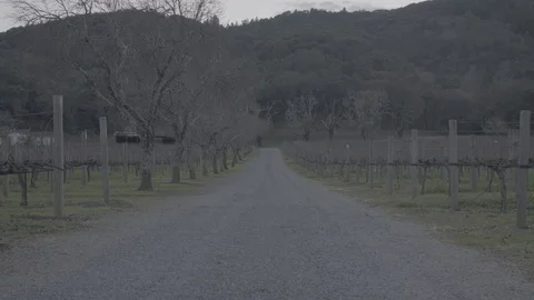 Rocky Vineyard Road - Log Stockbeeldmateriaal 85442188