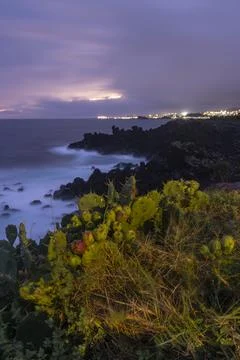 A rocky volcanic shoreline with a small patch of cactus plants at sunset in S Fotos de archivo