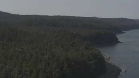 Rocky Water Edge with Pine Trees and Mountains Stock Footage 256043586