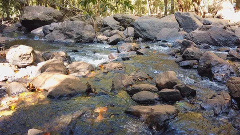Rocky waterfall in the jungle Stock Footage 128844233