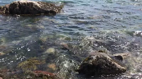 Rocky Waves Stock Footage 156617995